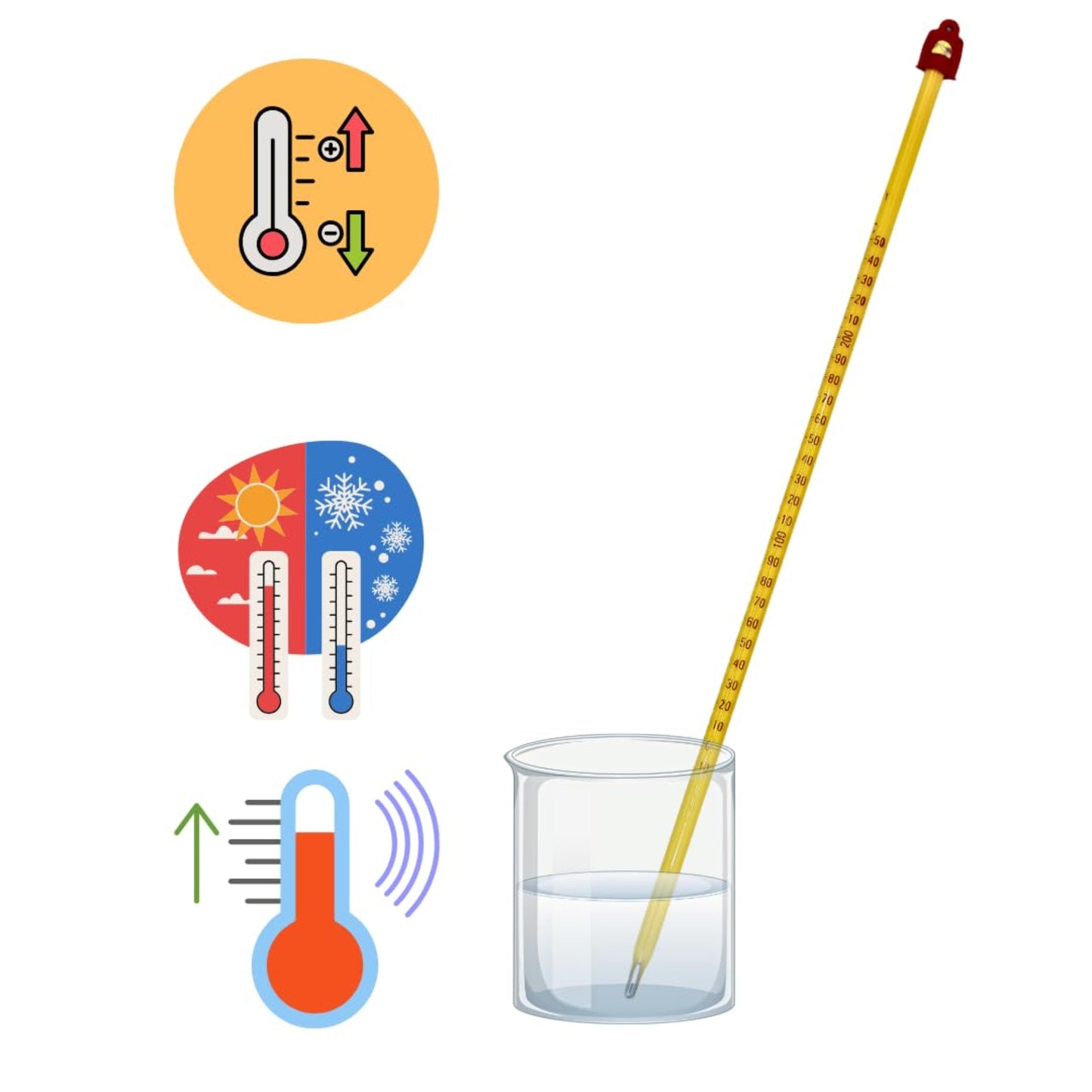 Glass Thermometer - 0 to 250°C & 30cm Long