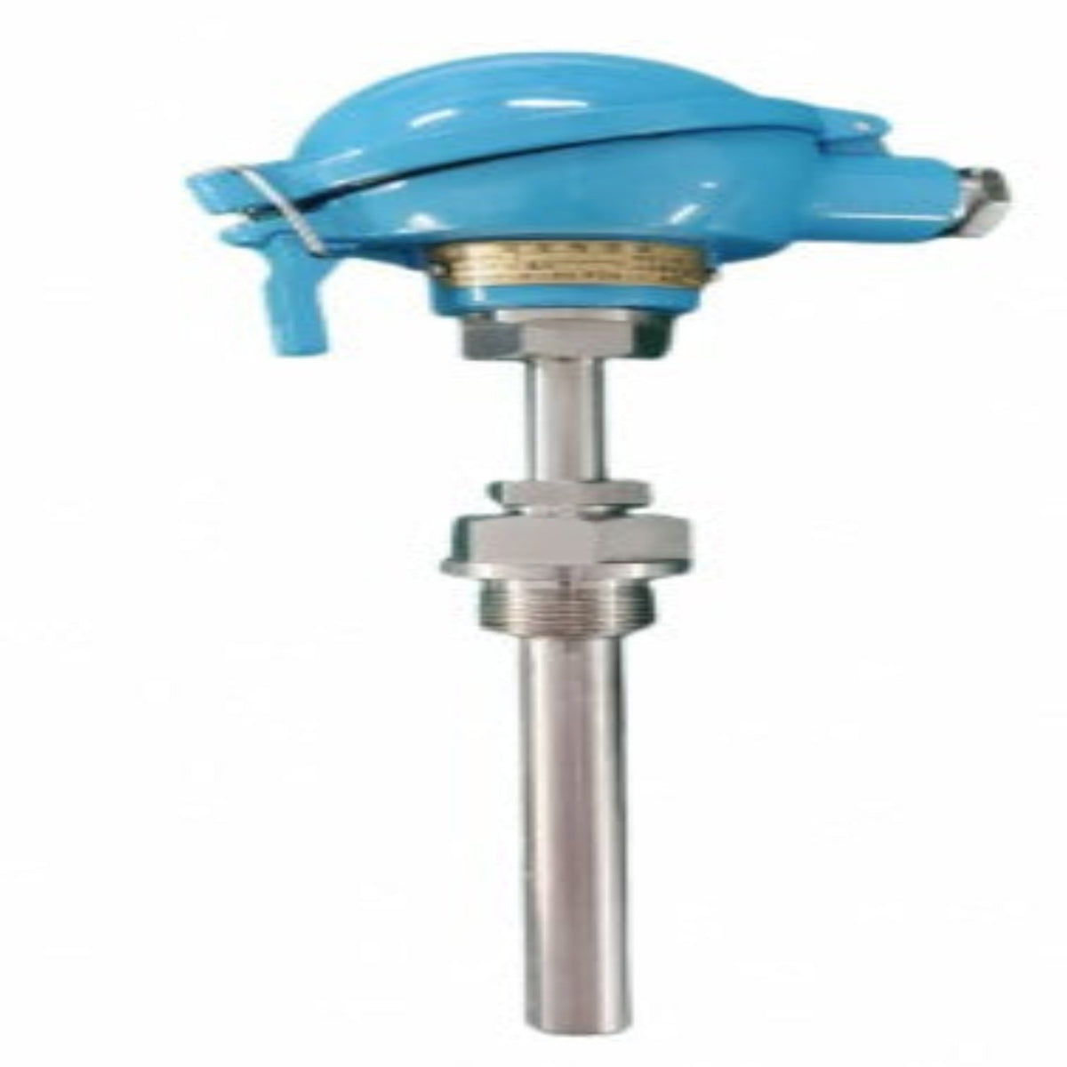 PT-100 Temperature Sensor with Head-Mounted Transmitter & Thermowell for 80NB Pipe