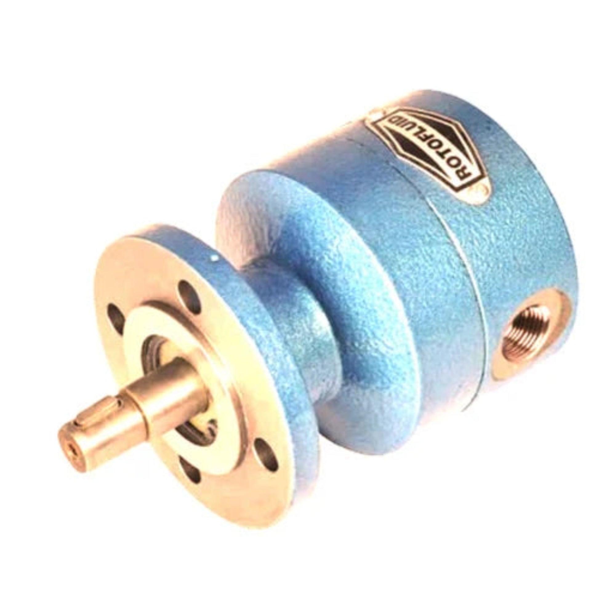 Rotofluid FTMP Reversible Gear Pump – 10, 16 & 25 LPM _ Reliable Indus ...
